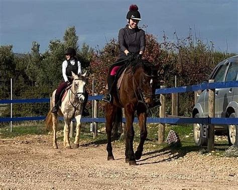equitation settat|LES 10 MEILLEURES Équitation et promenades à Casablanca.